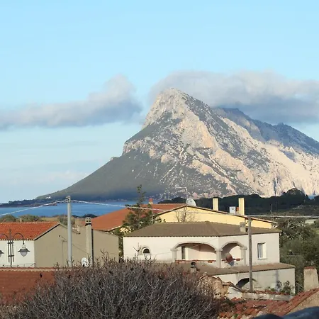 L'assentu Vaccileddi