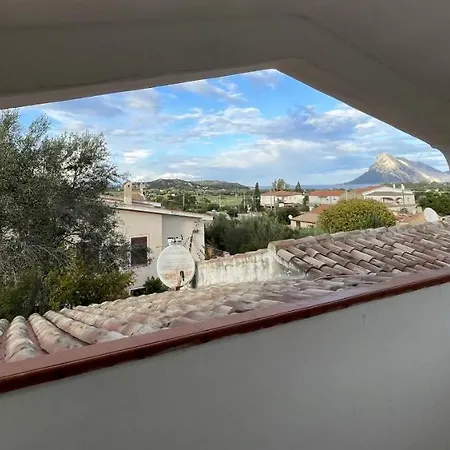 L'assentu * Vaccileddi