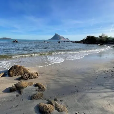L'assentu Vaccileddi